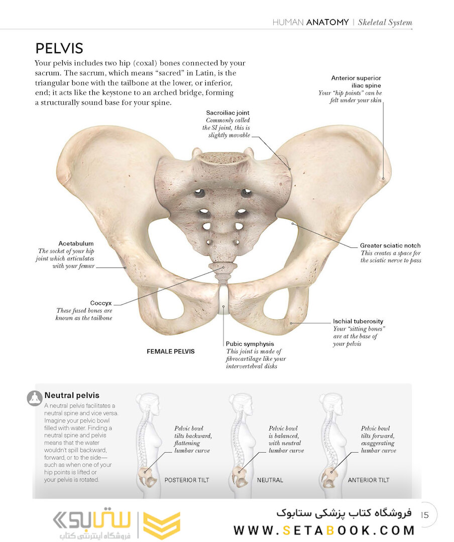 Science of Yoga: Understand the Anatomy and Physiology to Perfect Your Practice2019 علم یوگا: آناتومی و فیزیولوژی را درک کنید