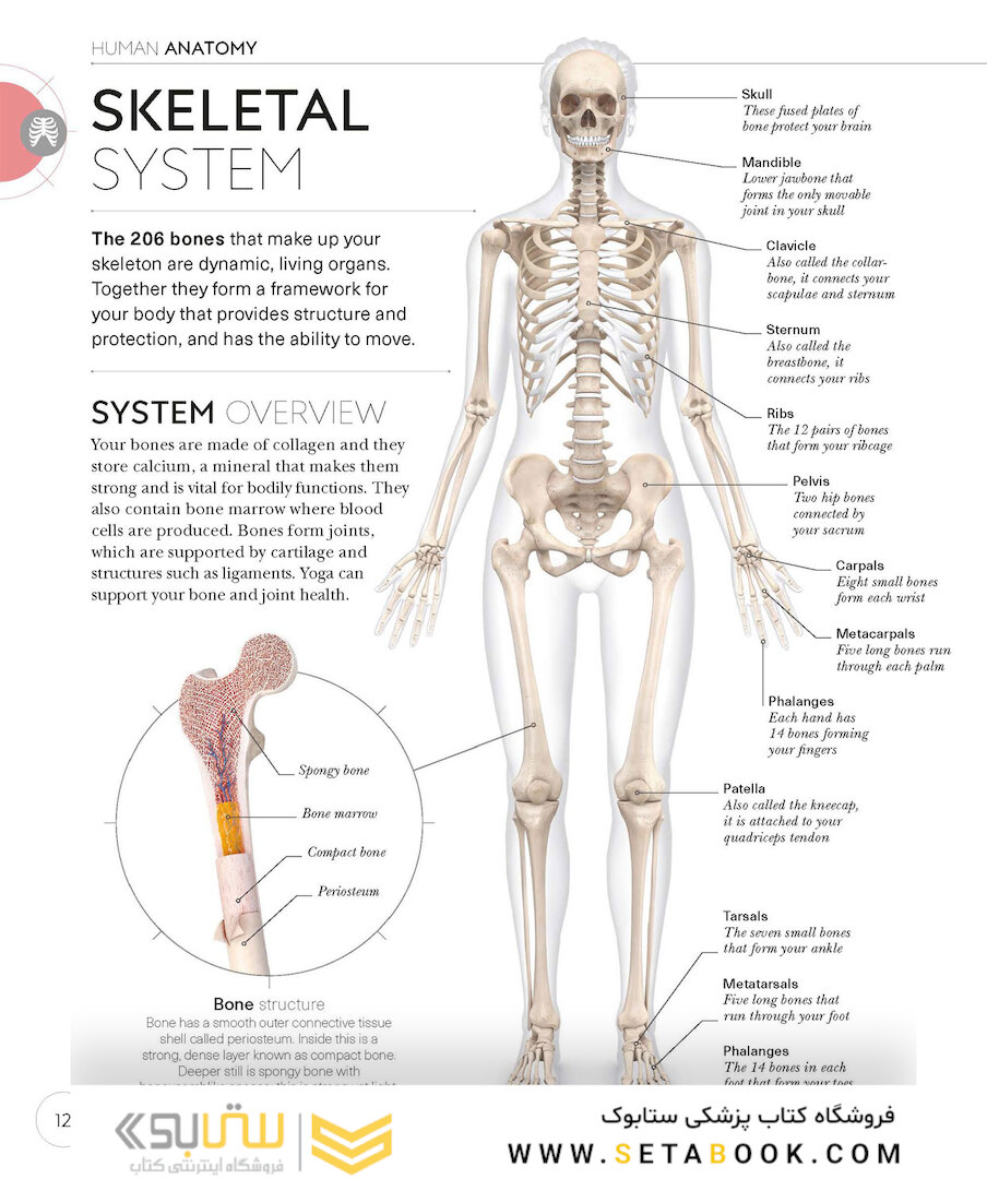 Science of Yoga: Understand the Anatomy and Physiology to Perfect Your Practice2019 علم یوگا: آناتومی و فیزیولوژی را درک کنید
