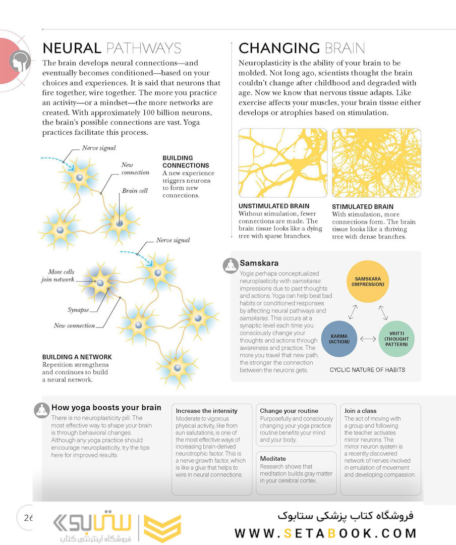 Science of Yoga: Understand the Anatomy and Physiology to Perfect Your Practice2019 علم یوگا: آناتومی و فیزیولوژی را درک کنید
