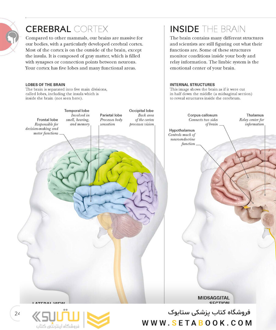 Science of Yoga: Understand the Anatomy and Physiology to Perfect Your Practice2019 علم یوگا: آناتومی و فیزیولوژی را درک کنید