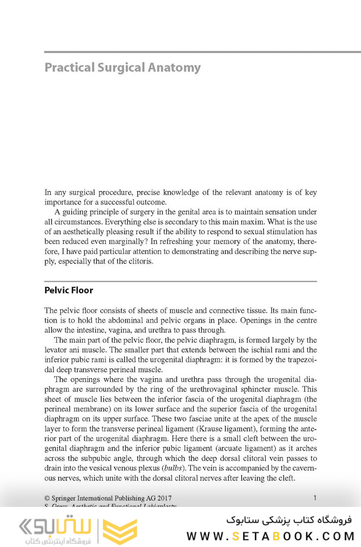 Aesthetic and Functional Labiaplasty 2018