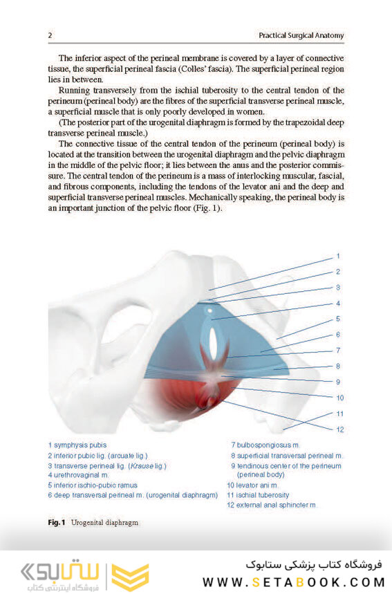 Aesthetic and Functional Labiaplasty 2018