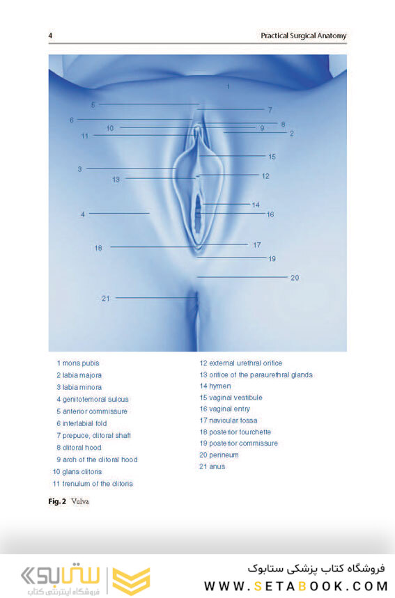 Aesthetic and Functional Labiaplasty 2018