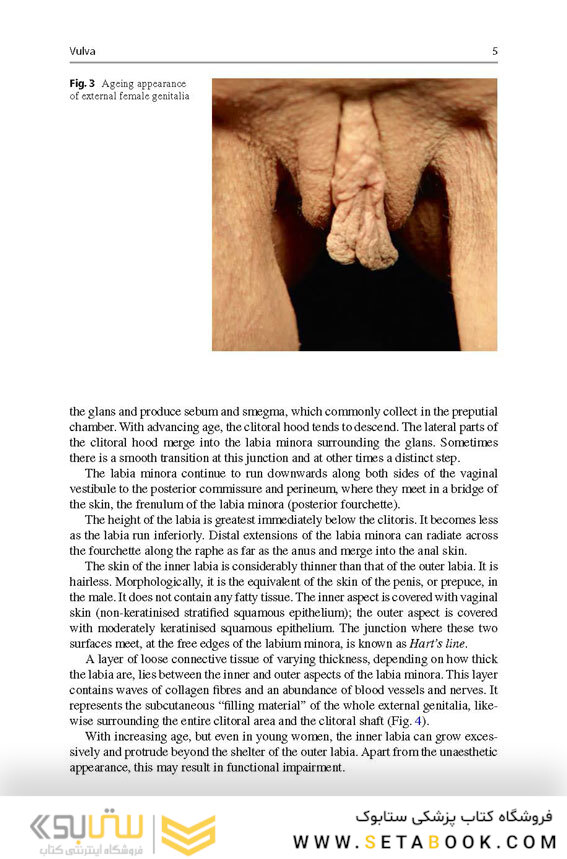 Aesthetic and Functional Labiaplasty 2018