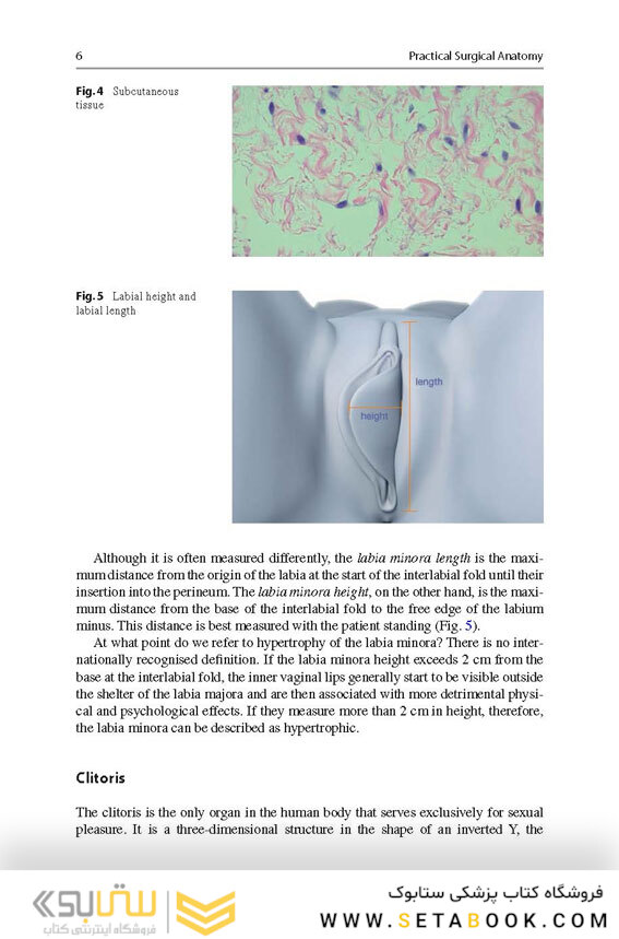 Aesthetic and Functional Labiaplasty 2018