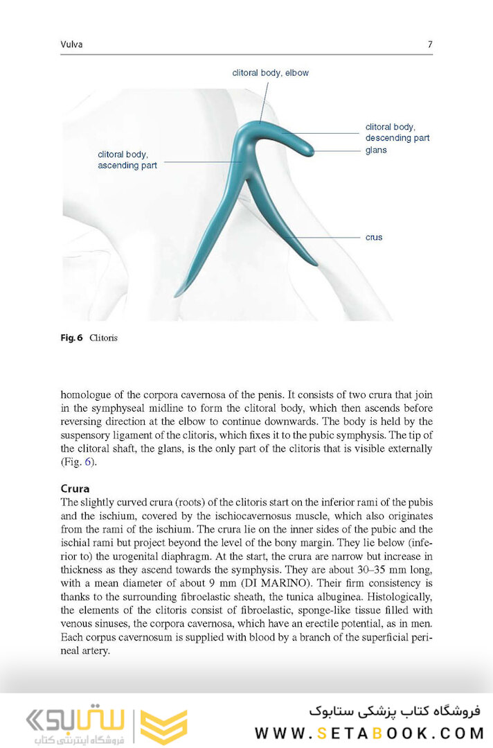 Aesthetic and Functional Labiaplasty 2018