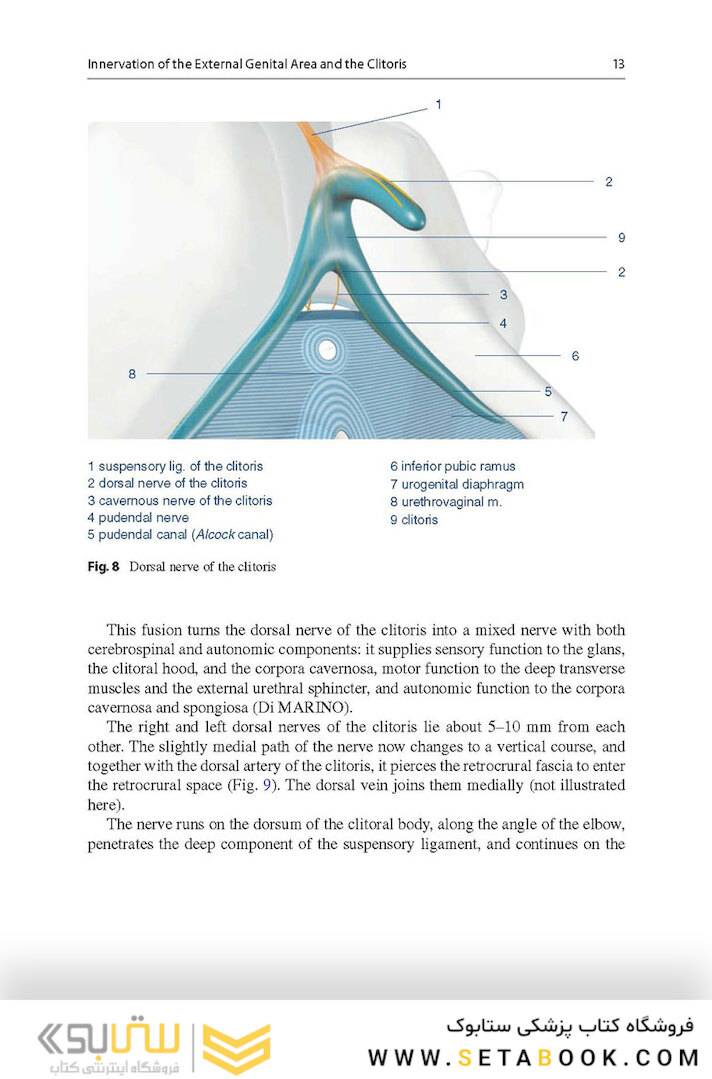 Aesthetic and Functional Labiaplasty 2018