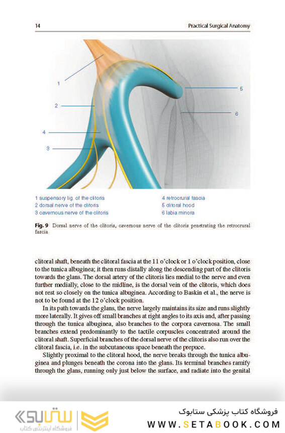 Aesthetic and Functional Labiaplasty 2018