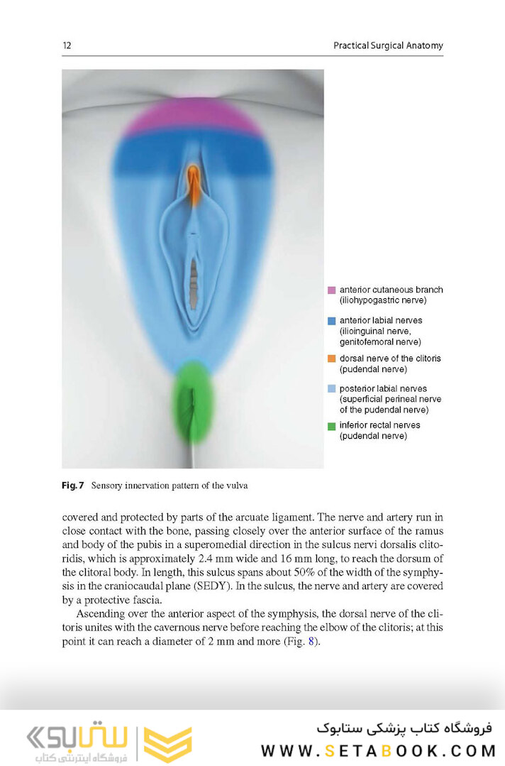Aesthetic and Functional Labiaplasty 2018