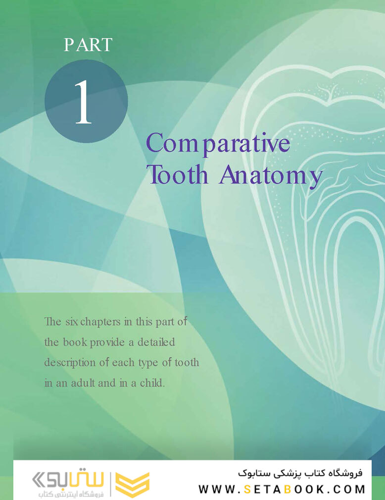 Woelfels Dental Anatomy Ninth Edition 2017