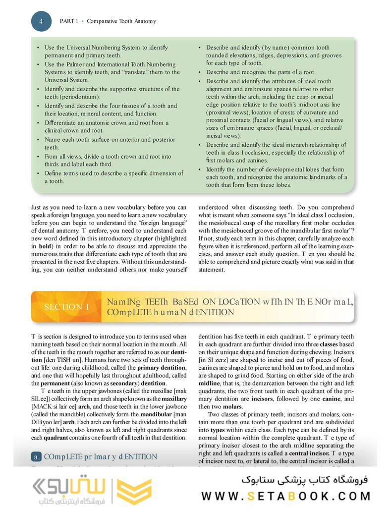 Woelfels Dental Anatomy Ninth Edition 2017