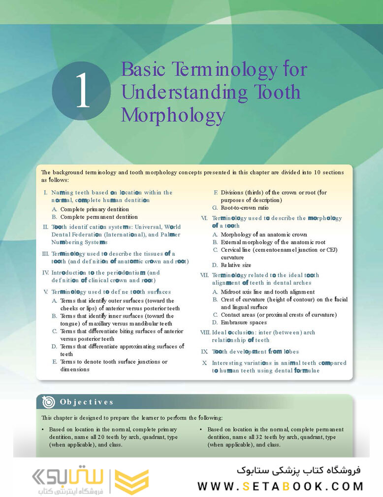 Woelfels Dental Anatomy Ninth Edition 2017