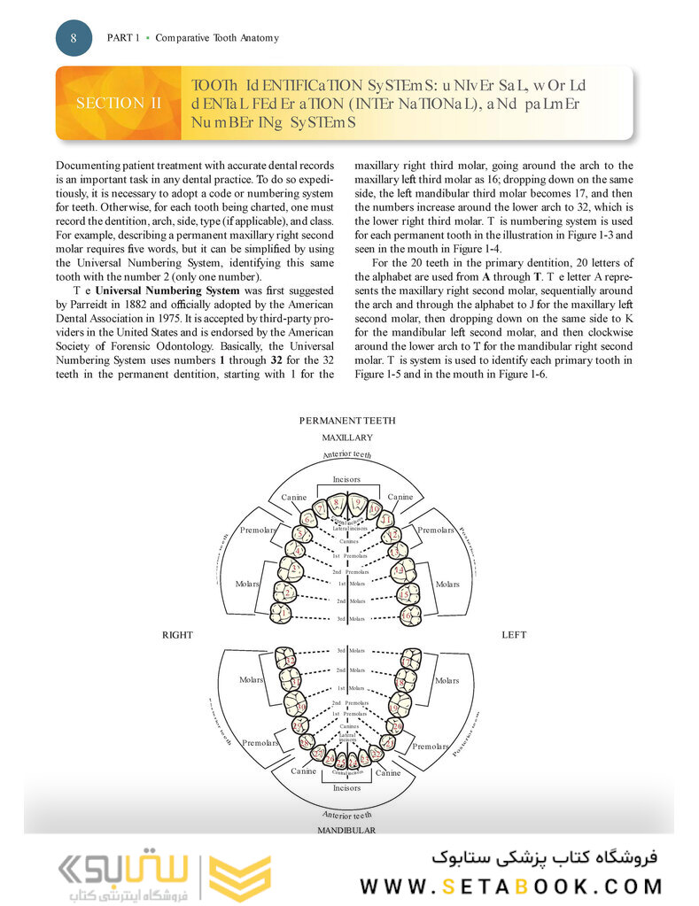 Woelfels Dental Anatomy Ninth Edition 2017