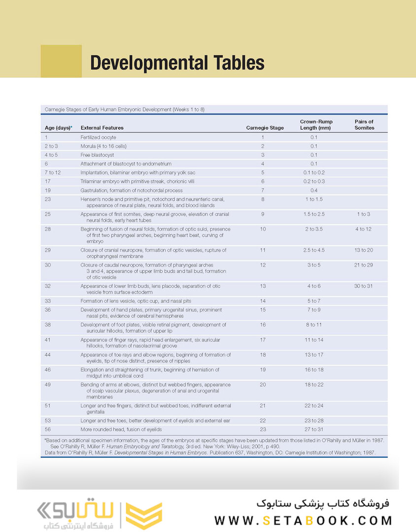 Human Embryology and Developmental Biology 6th Edition2019
