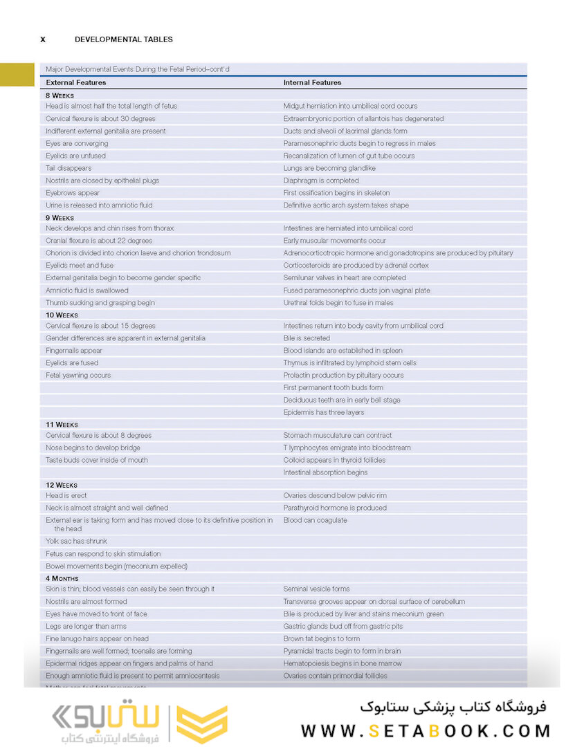 Human Embryology and Developmental Biology 6th Edition2019