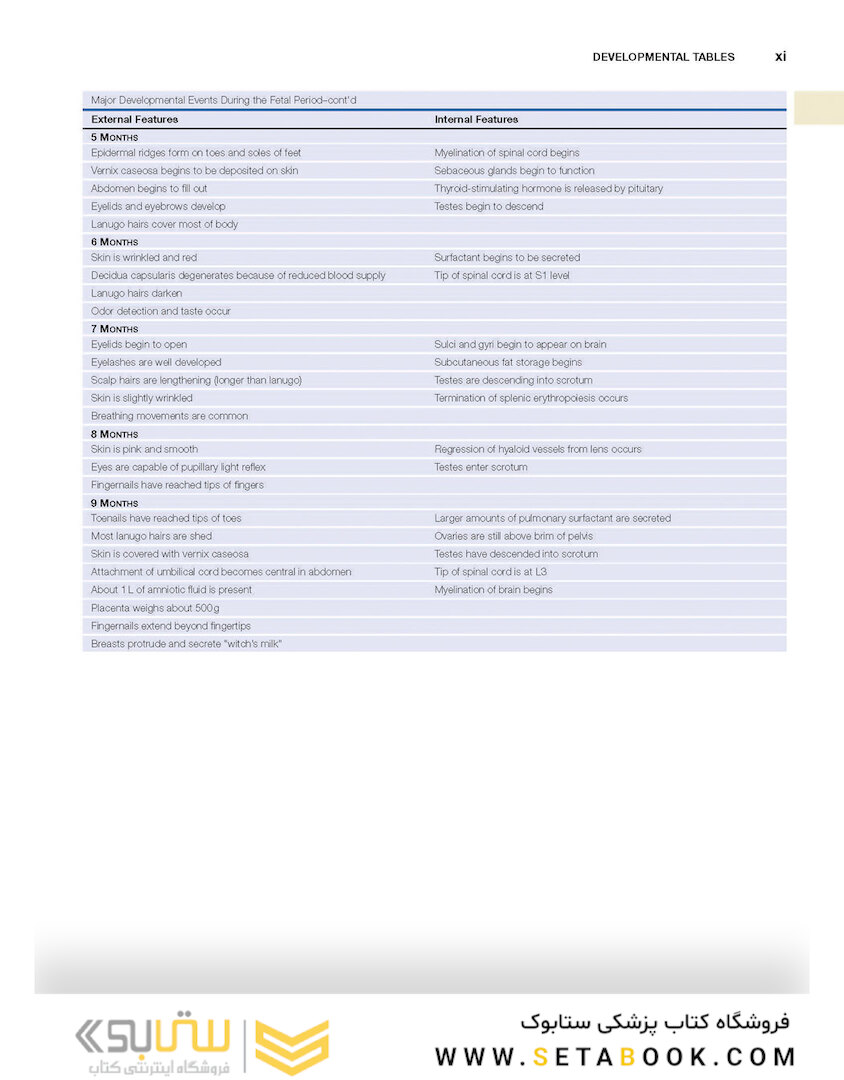 Human Embryology and Developmental Biology 6th Edition2019
