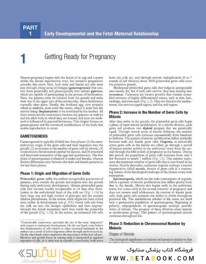 Human Embryology and Developmental Biology 6th Edition2019