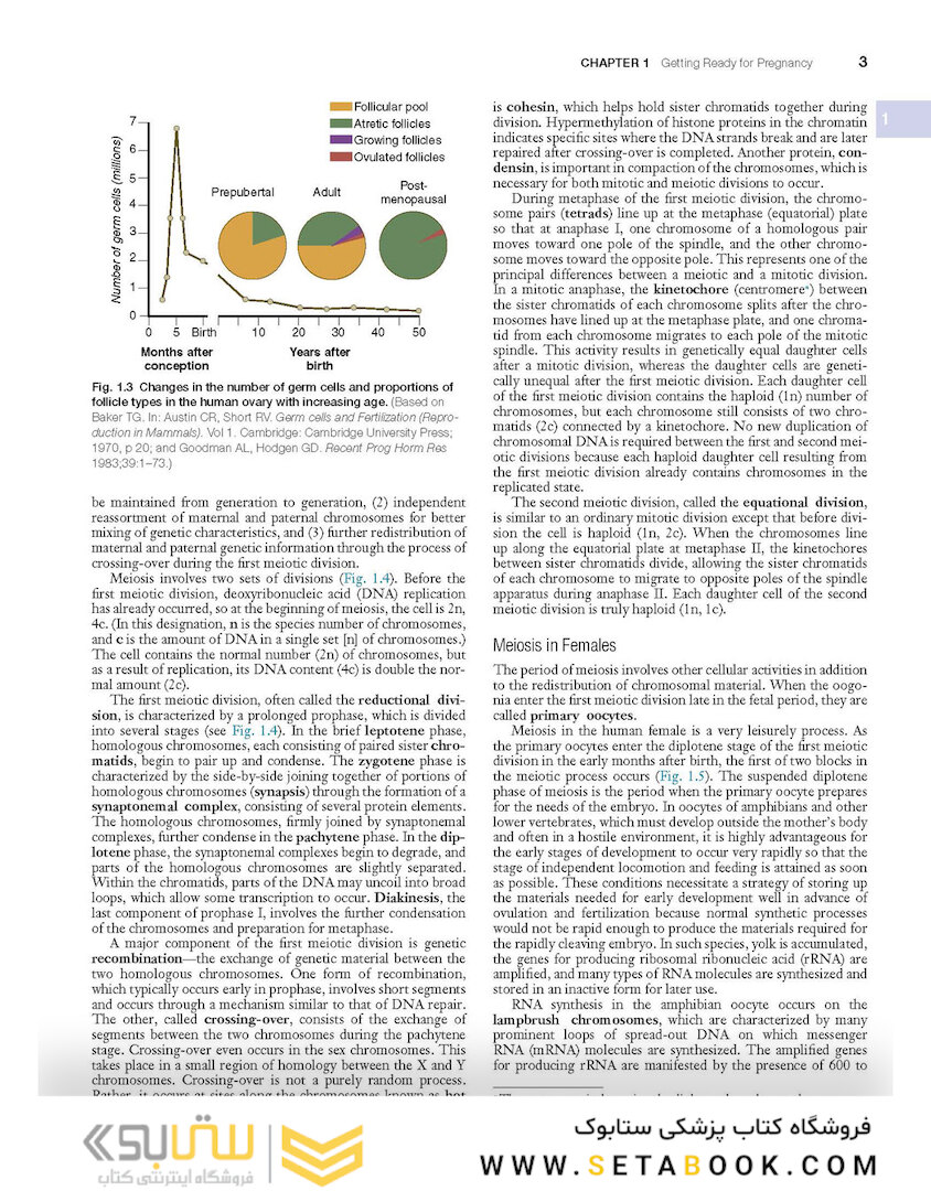 Human Embryology and Developmental Biology 6th Edition2019