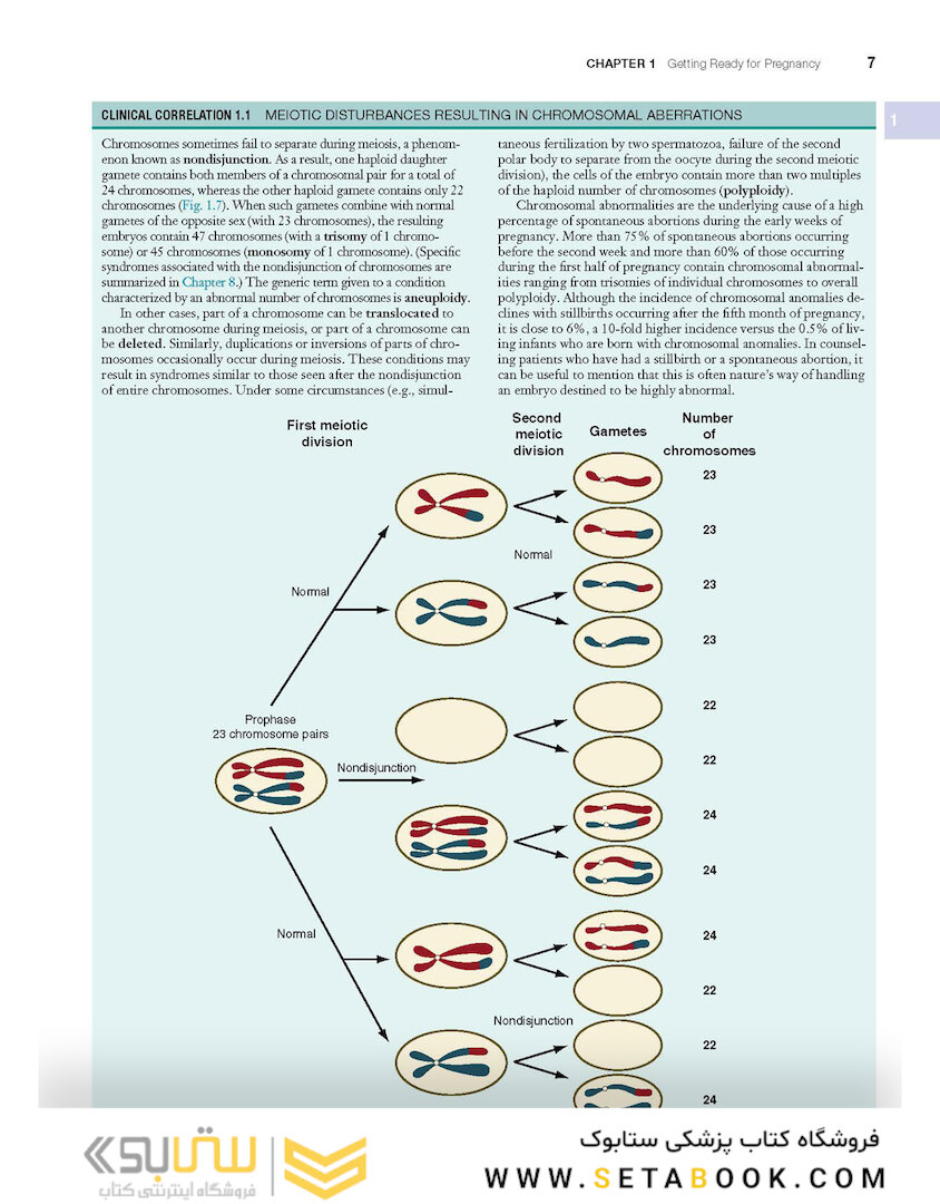 Human Embryology and Developmental Biology 6th Edition2019
