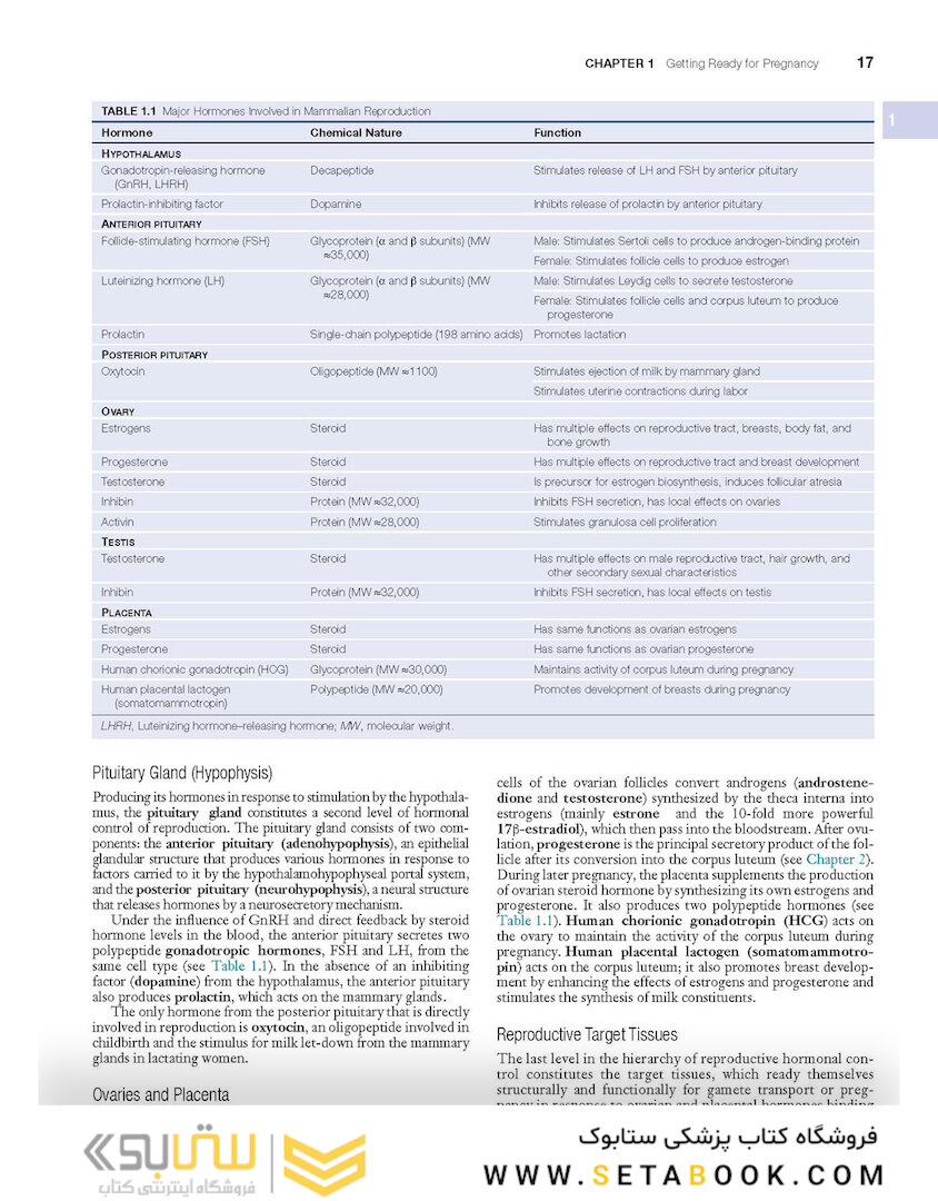 Human Embryology and Developmental Biology 6th Edition2019