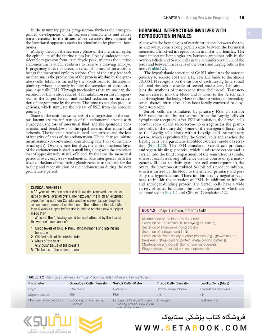 Human Embryology and Developmental Biology 6th Edition2019