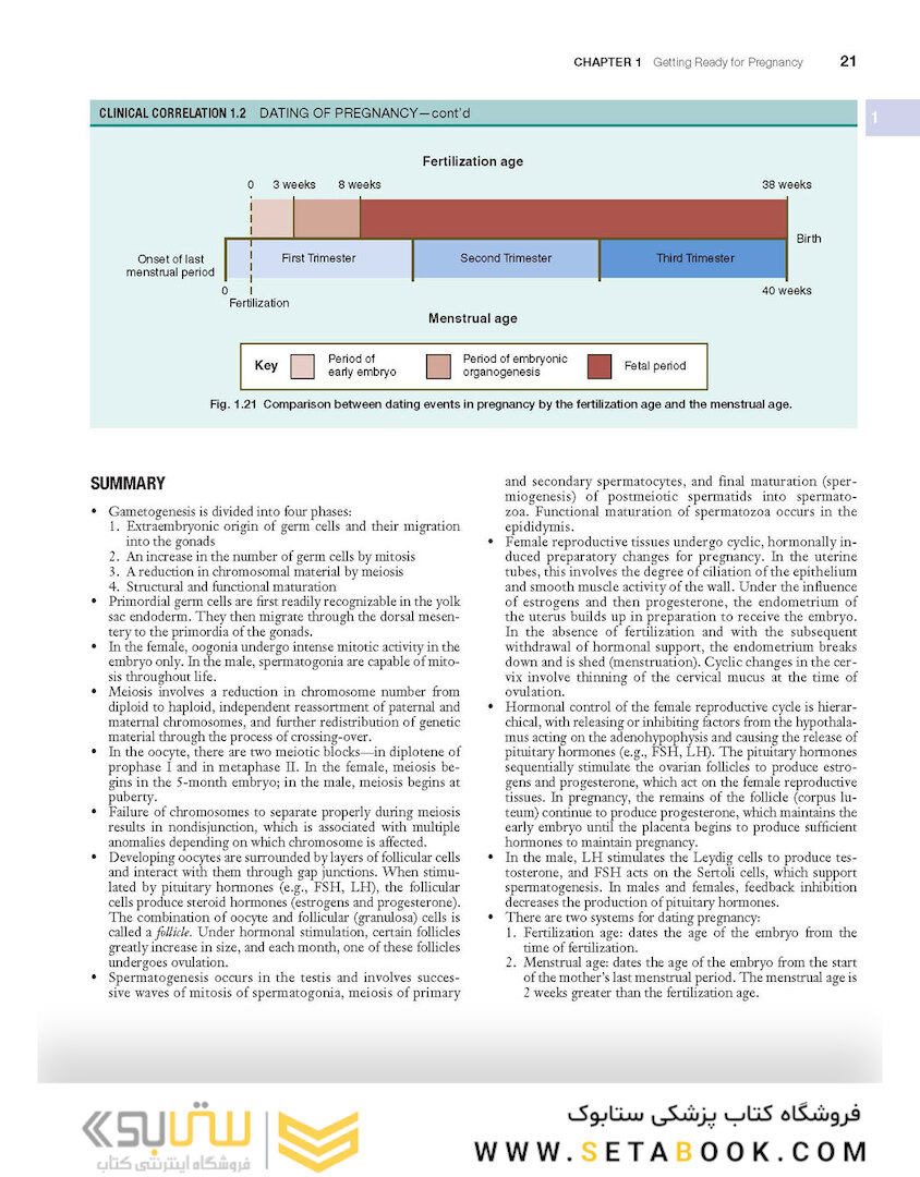 Human Embryology and Developmental Biology 6th Edition2019