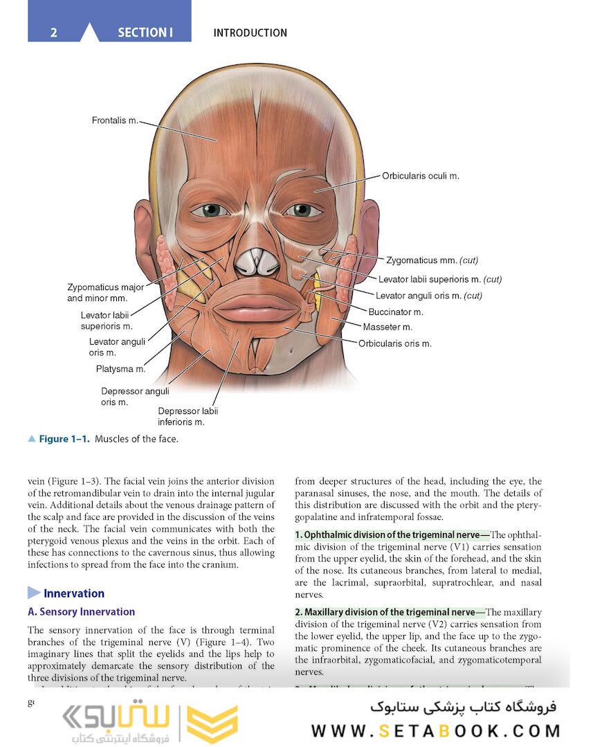 CURRENT Diagnosis - Treatment Otolaryngology-Head and Neck Surgery 4th Edition
