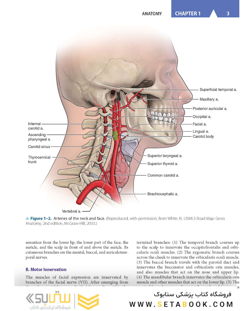 CURRENT Diagnosis - Treatment Otolaryngology-Head and Neck Surgery 4th Edition