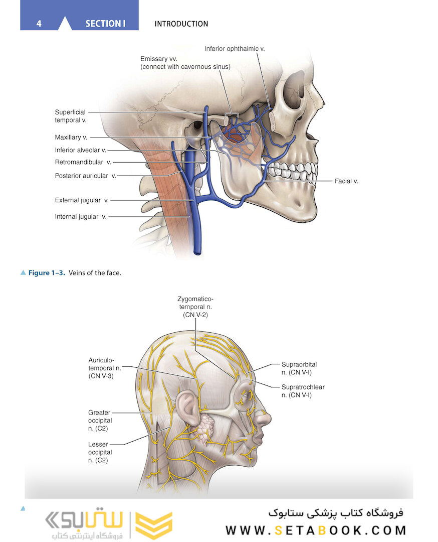CURRENT Diagnosis - Treatment Otolaryngology-Head and Neck Surgery 4th Edition