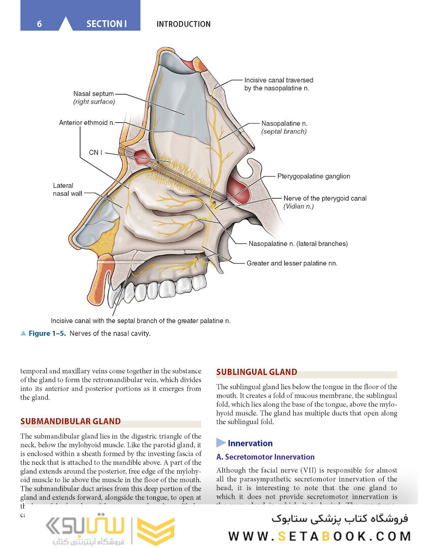 CURRENT Diagnosis - Treatment Otolaryngology-Head and Neck Surgery 4th Edition