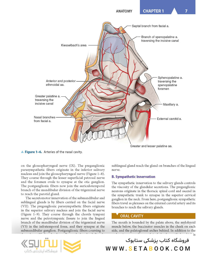 CURRENT Diagnosis - Treatment Otolaryngology-Head and Neck Surgery 4th Edition