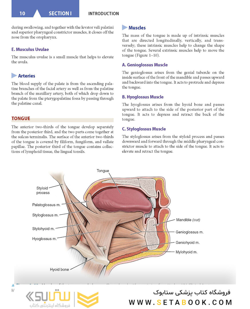 CURRENT Diagnosis - Treatment Otolaryngology-Head and Neck Surgery 4th Edition
