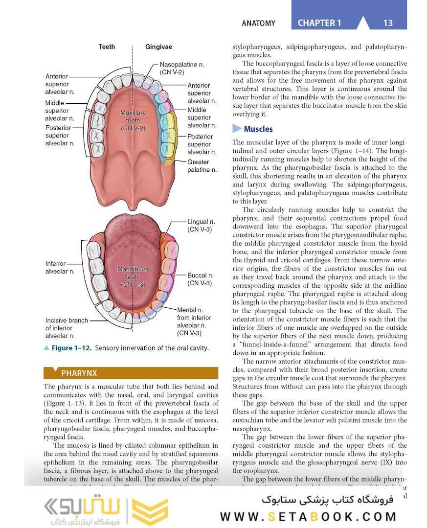CURRENT Diagnosis - Treatment Otolaryngology-Head and Neck Surgery 4th Edition