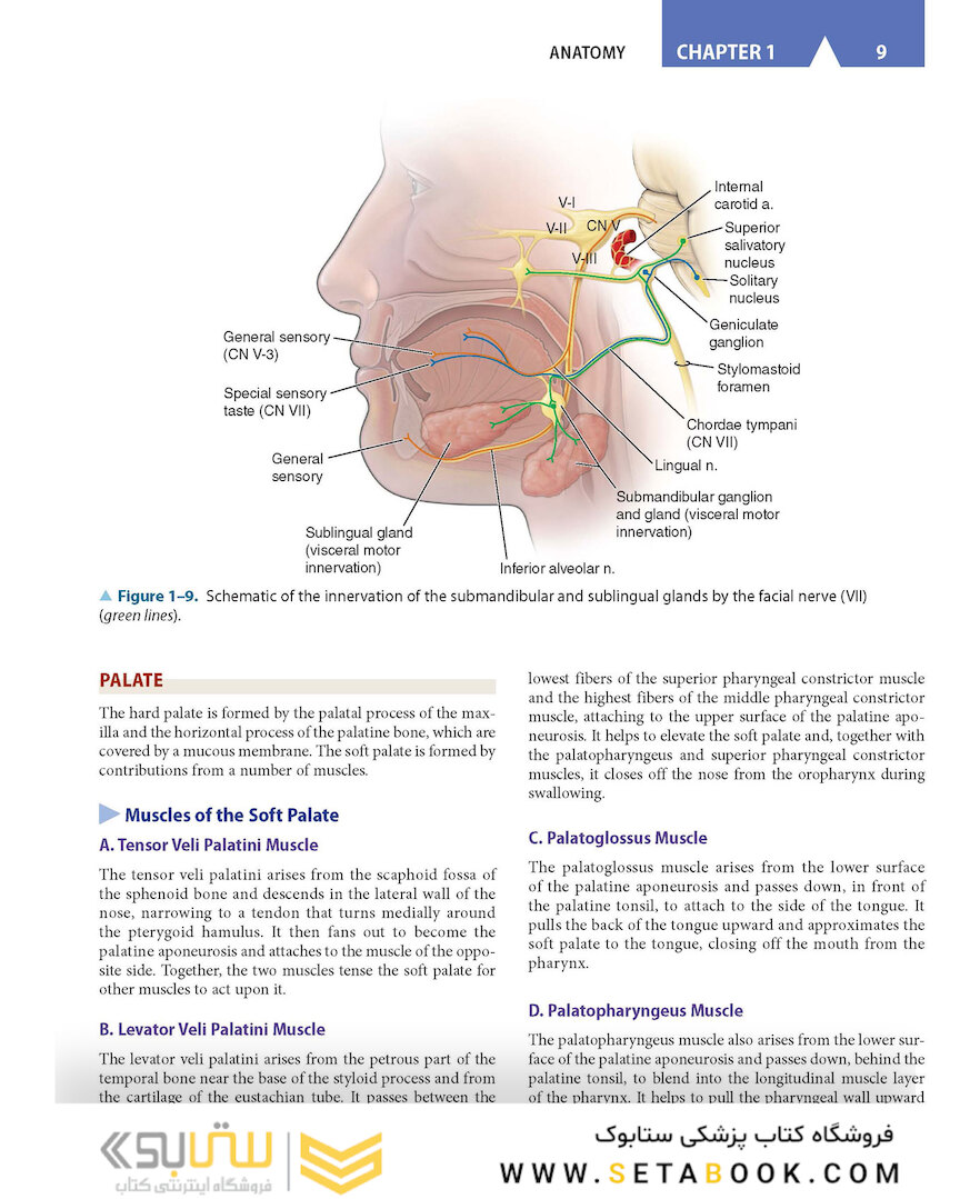 CURRENT Diagnosis - Treatment Otolaryngology-Head and Neck Surgery 4th Edition