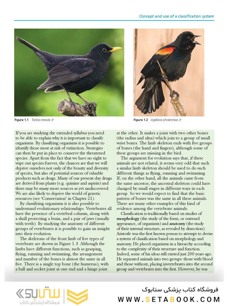 Cambridge IGCSE Biology 3rd Edition