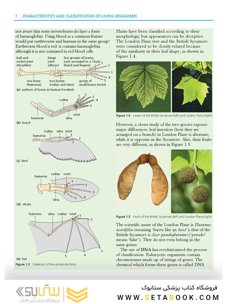Cambridge IGCSE Biology 3rd Edition
