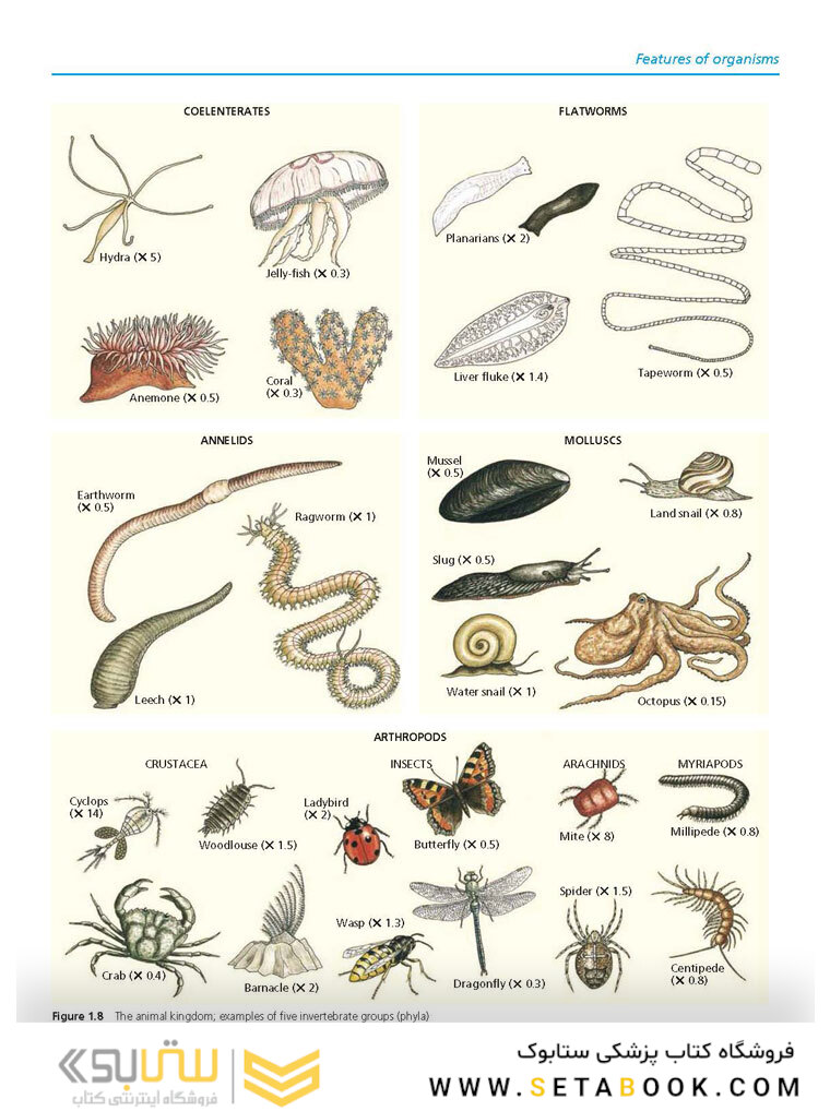 Cambridge IGCSE Biology 3rd Edition