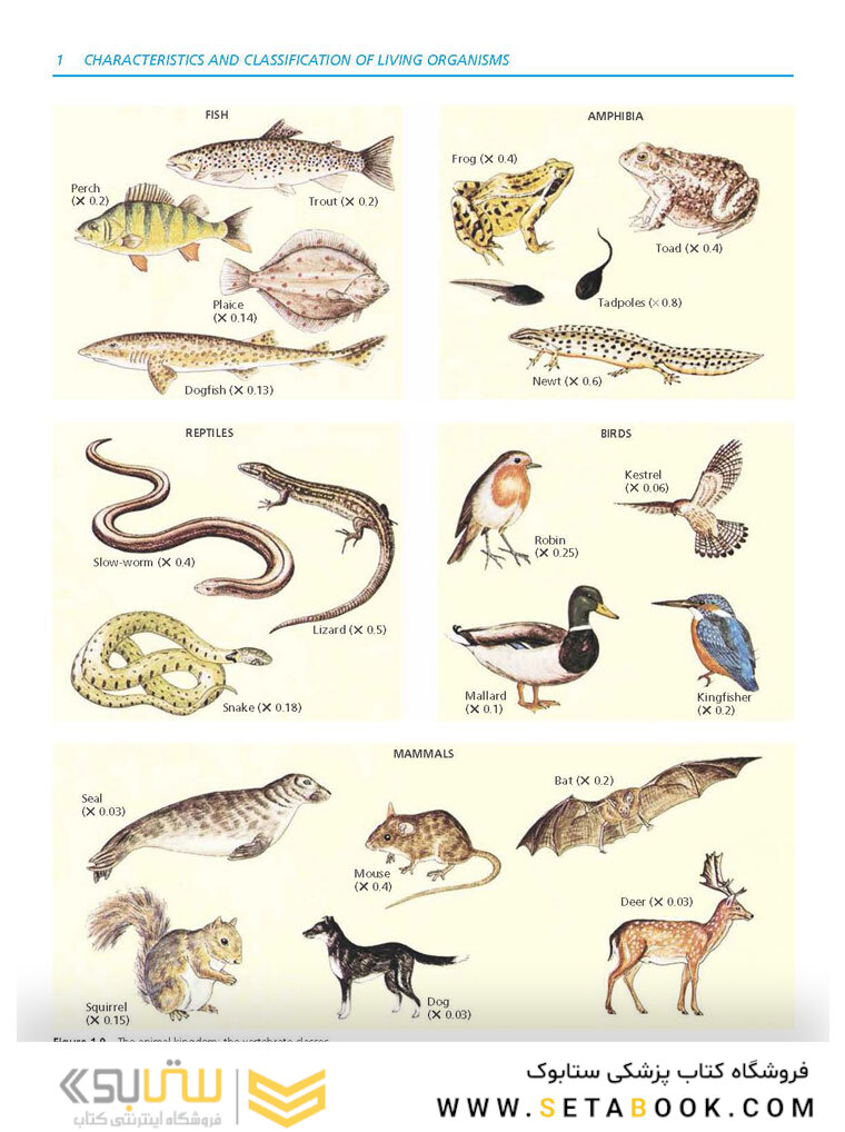 Cambridge IGCSE Biology 3rd Edition