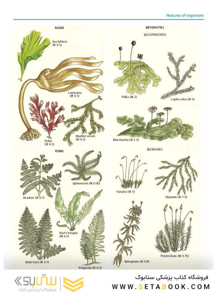 Cambridge IGCSE Biology 3rd Edition