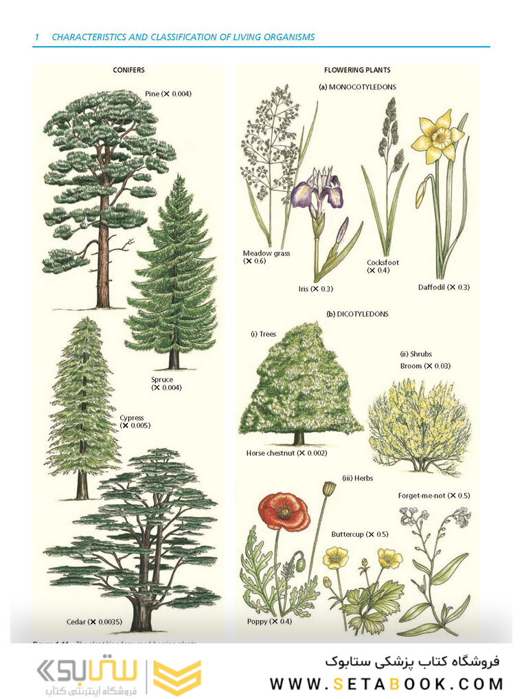 Cambridge IGCSE Biology 3rd Edition