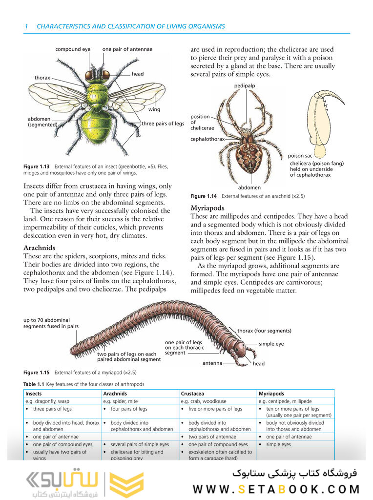 Cambridge IGCSE Biology 3rd Edition