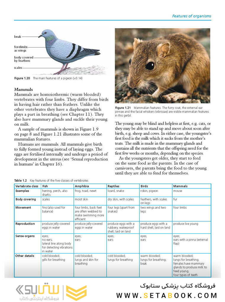 Cambridge IGCSE Biology 3rd Edition