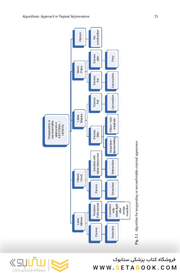 Aesthetic Vaginal Plastic Surgery 1st Edition2019