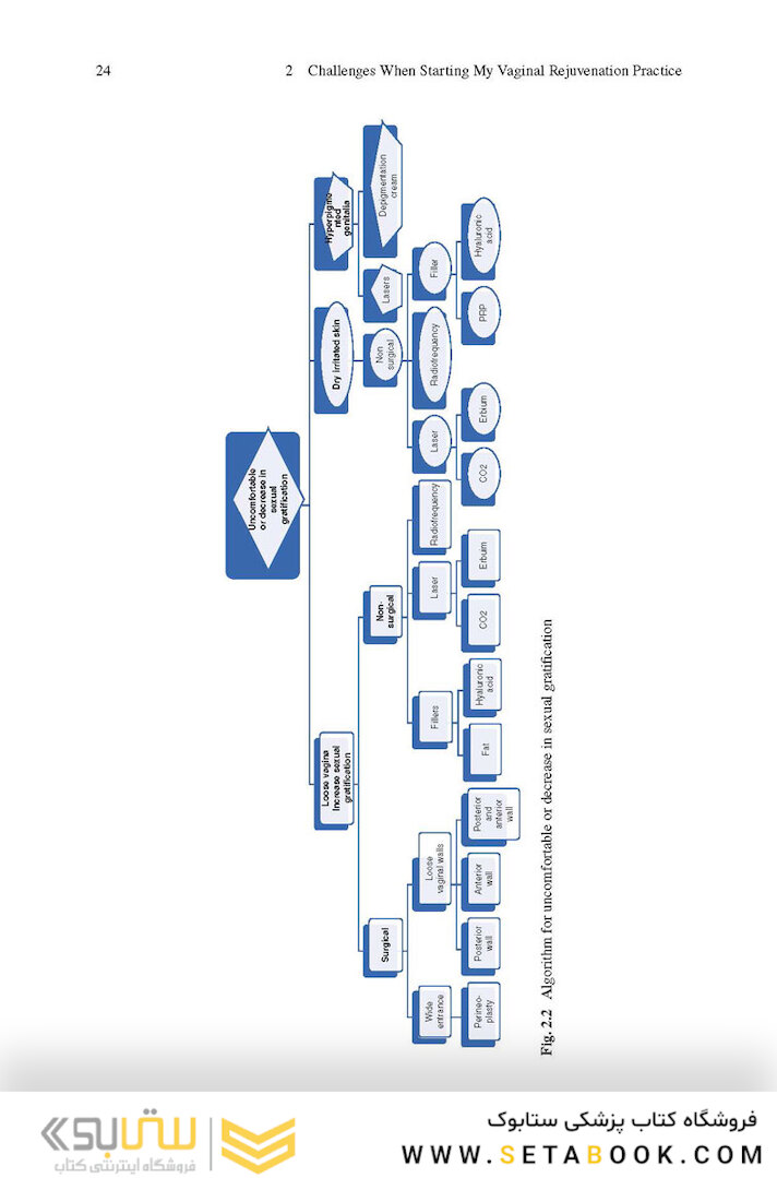 Aesthetic Vaginal Plastic Surgery 1st Edition2019