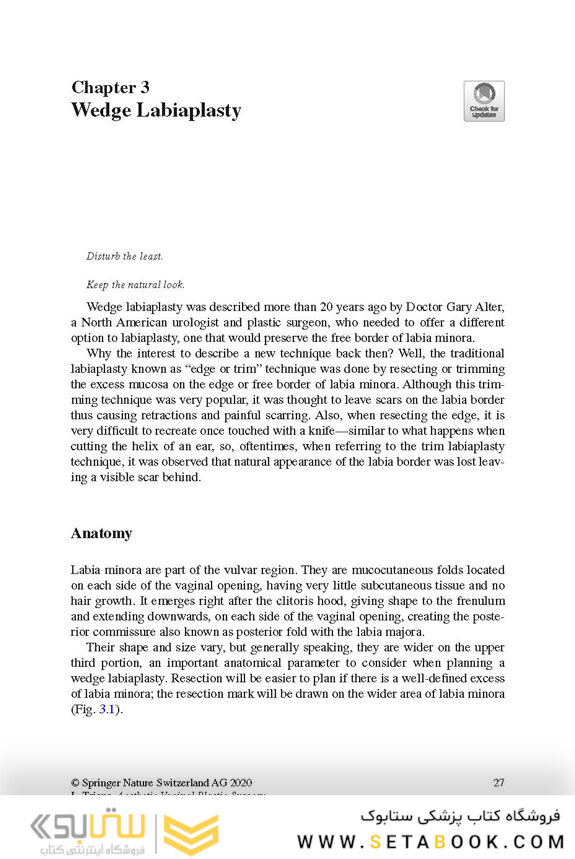 Aesthetic Vaginal Plastic Surgery 1st Edition2019