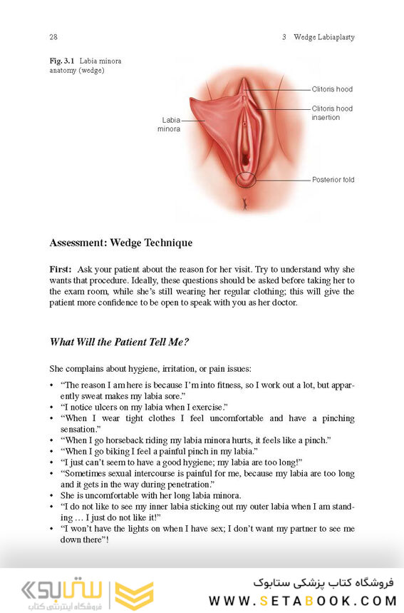 Aesthetic Vaginal Plastic Surgery 1st Edition2019