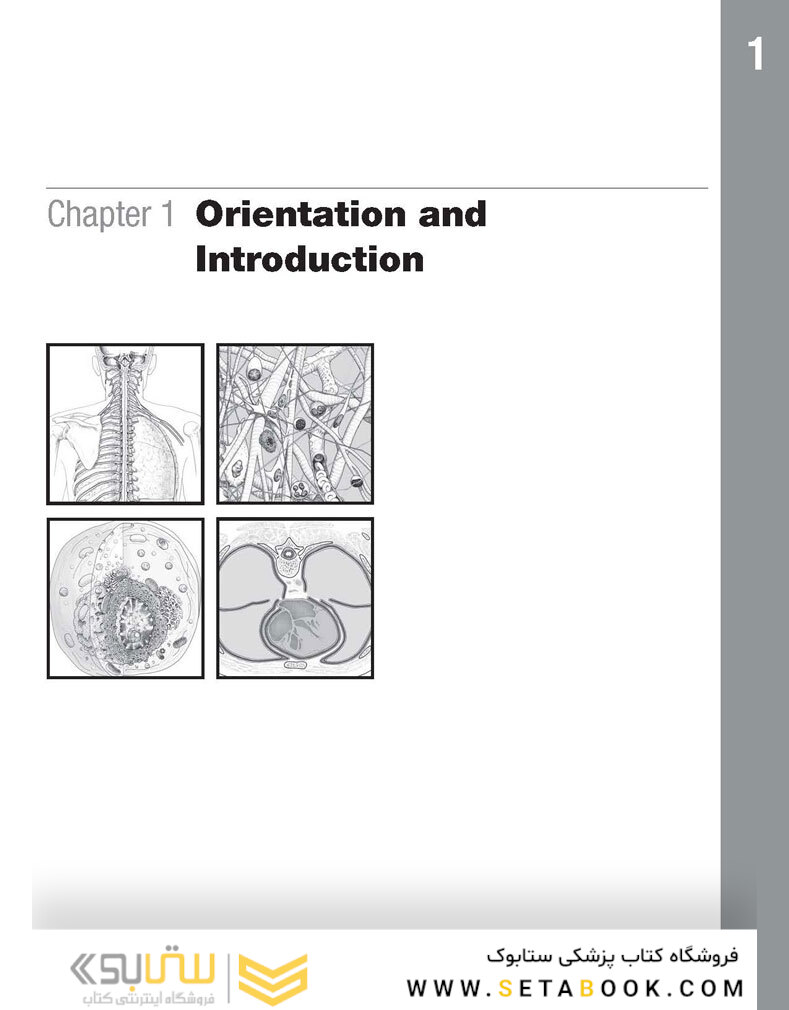 The Netter’s Anatomy Coloring Book, 2th edition