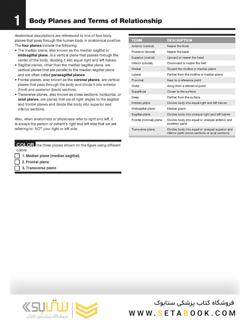 The Netter’s Anatomy Coloring Book, 2th edition