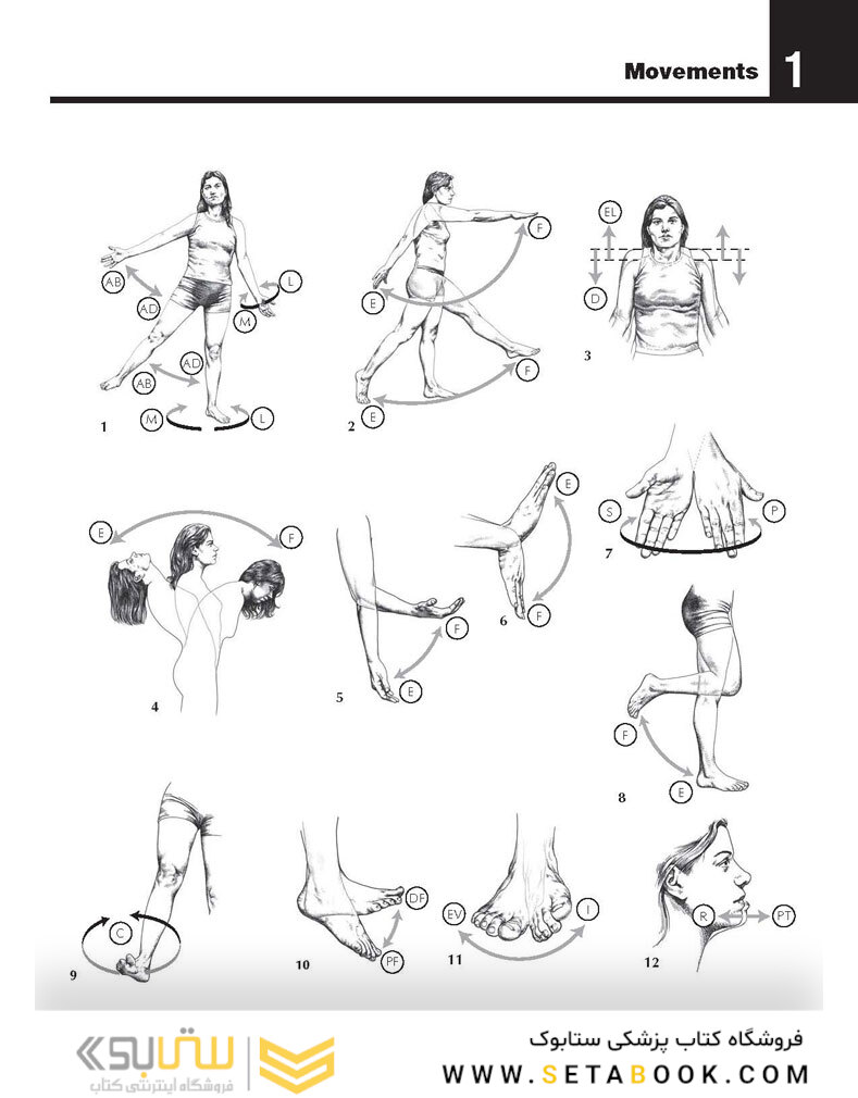 The Netter’s Anatomy Coloring Book, 2th edition