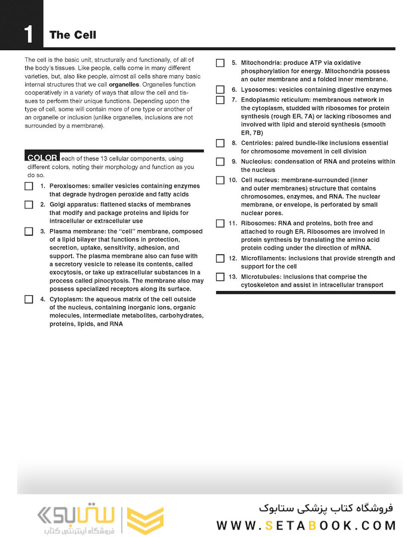 The Netter’s Anatomy Coloring Book, 2th edition